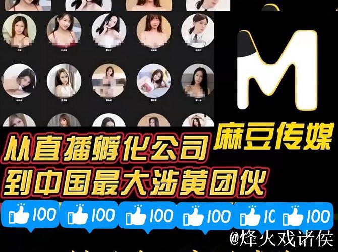揭秘麻豆果冻传媒系列视频背后的创作故事